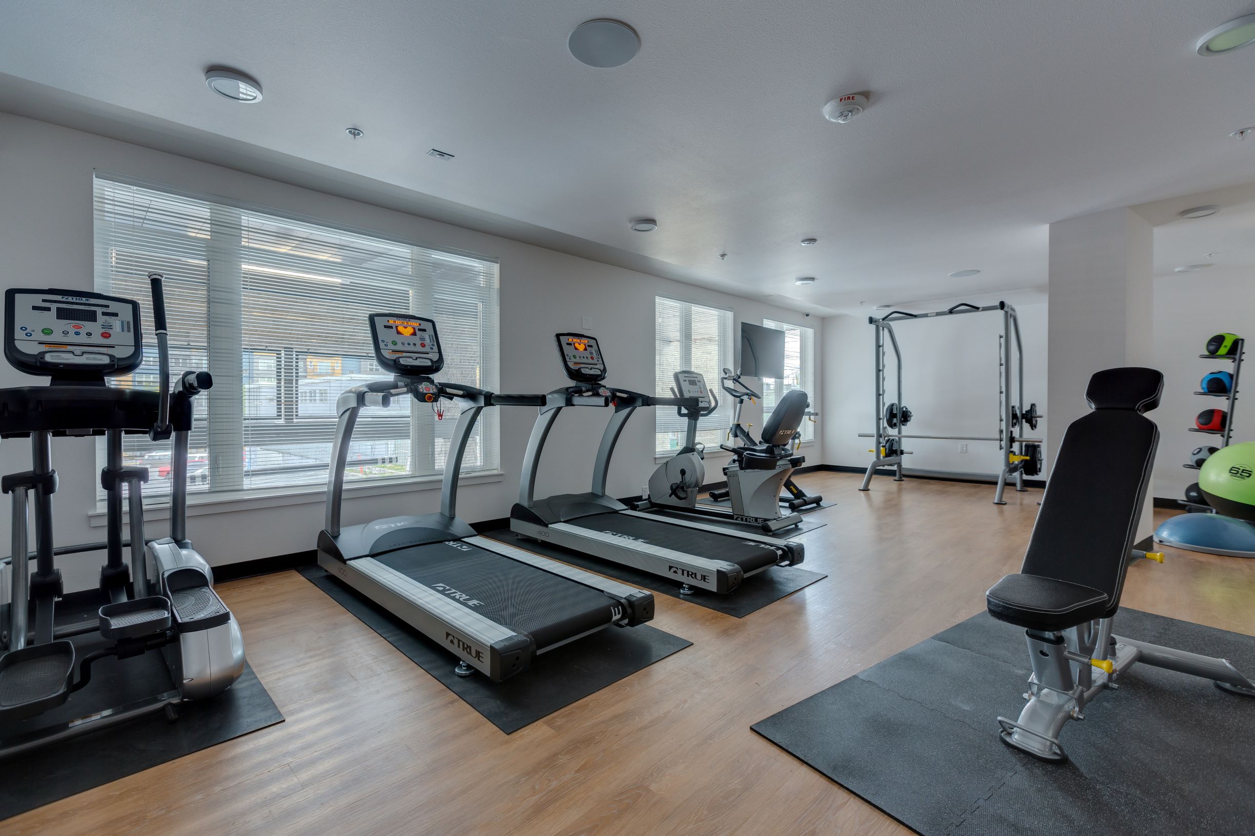Apartment at Mysa Apartments for Rent in Northeast Seattle, Seattle | Tripalink